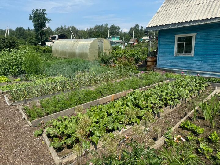 Дача 30 м² на участке 10 сот.