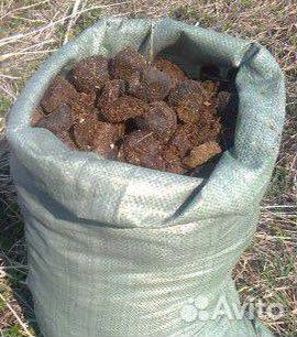 Конский навоз