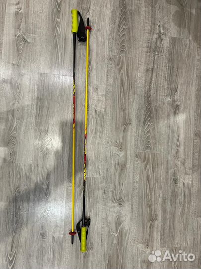 Горные лыжи