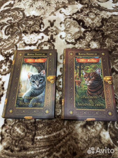 Коты воители второй цикл