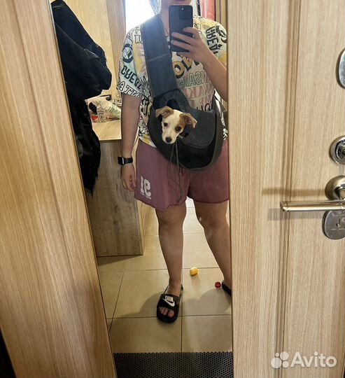 Сумка переноска для маленьких собак