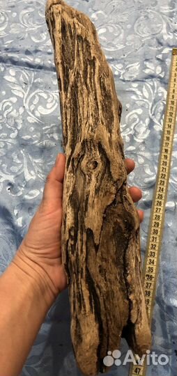 Морская коряга, дрифтвуд