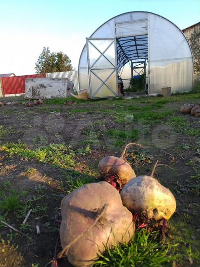 Дом 100 м² на участке 11 сот.