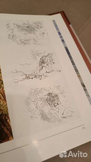 Книга Среди льдов и джунглей. Вадим Горбатов