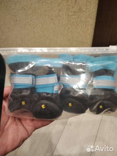 Ботинки для собаки