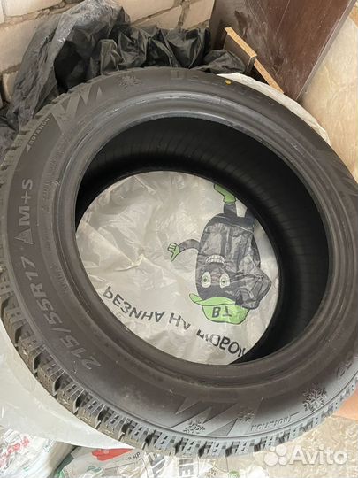 Delinte Winter WD52 21.5/55 R17 94