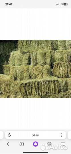 Сено в тюках