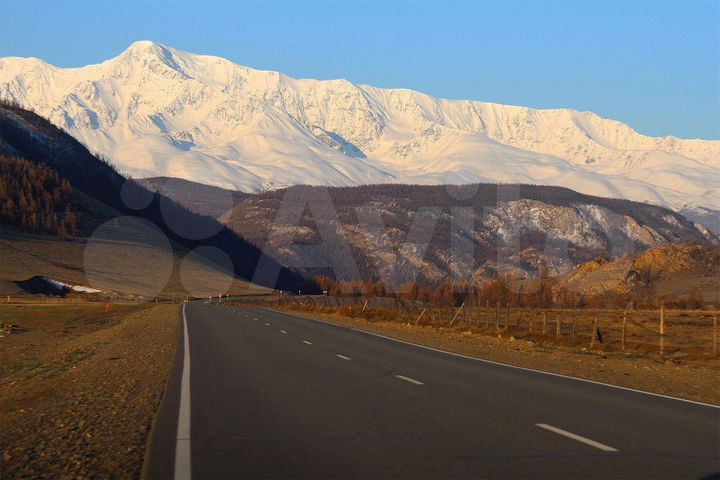 Участок 11 сот. (СНТ, ДНП)