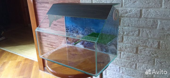 Аквариум для черепах