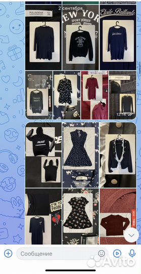 Женская одежда