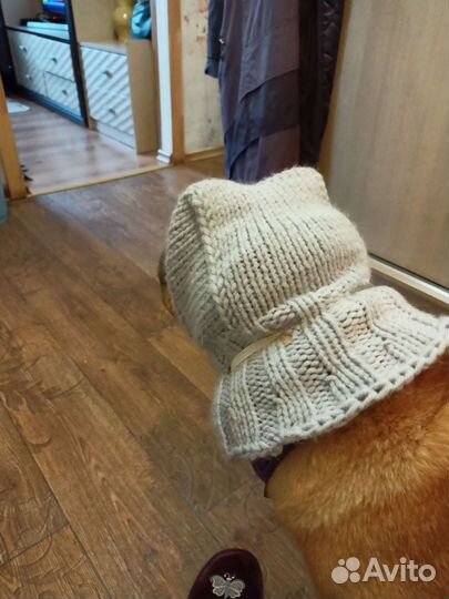 Одежда для шарпея. Шапочки