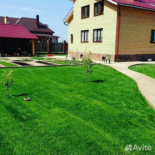Рулонный газон
