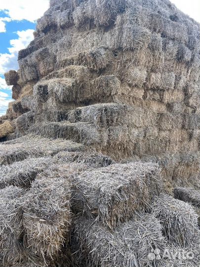 Сено, Солома