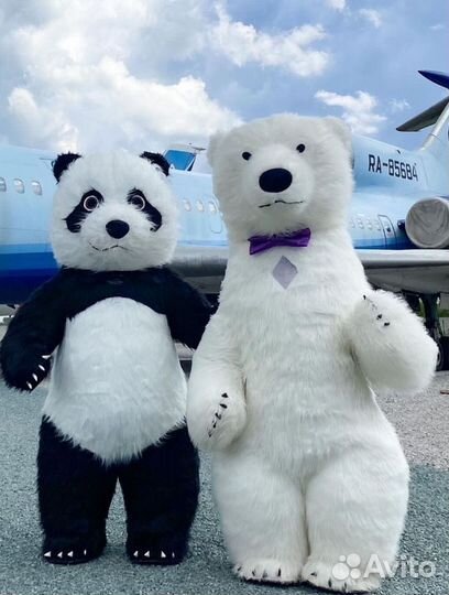 Поздравление Белый Мишка С Днем Рождения Панда