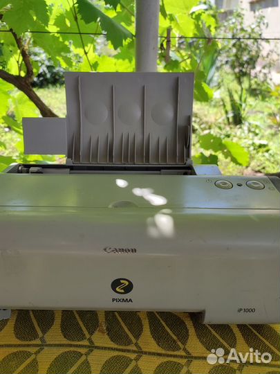 Принтер canon pixma ip1000