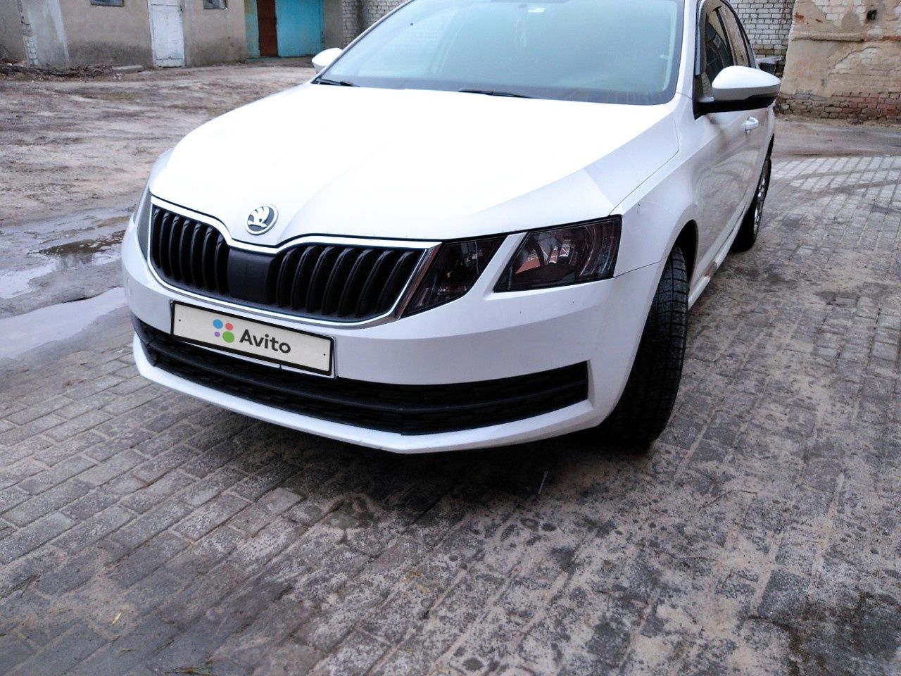 Skoda Octavia: фото владельца