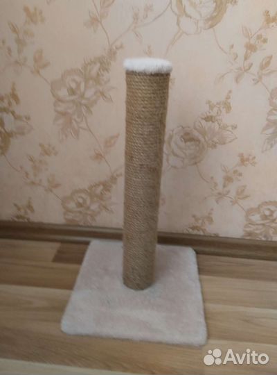 Когтеточка