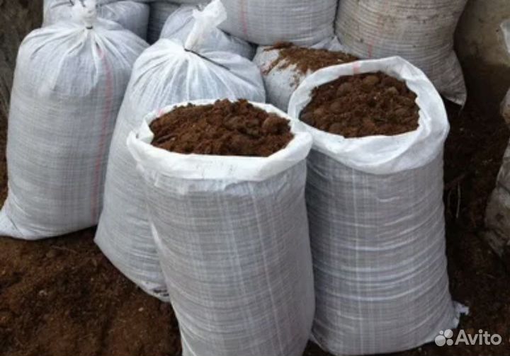 Конский навоз