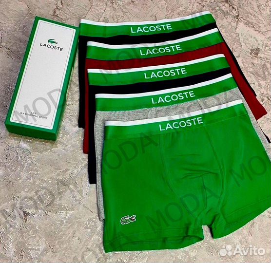 Трусы мужские + носки в подарок