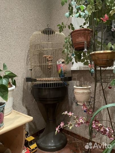 Клетка для попугая крупного