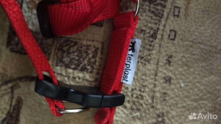 Шлейка для корги, бигля