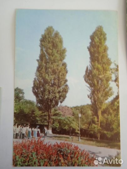 Редкие винтажные открытки кндр