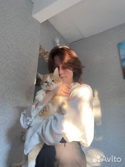 Репетитор по математике, русскому, дошколята