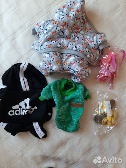 Одежда для собак