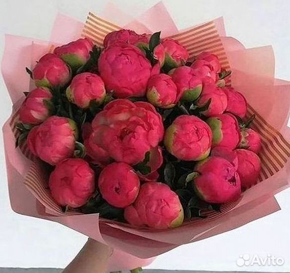 Пионы Букет пионов Доставка цветов