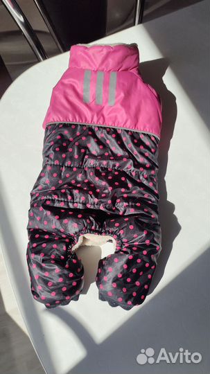 Одежда для маленьких собак