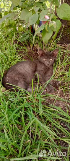 Малышка хочет к маме