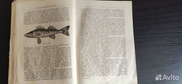 Леонид Сабанеев “Жизнь и ловля пресноводных рыб”