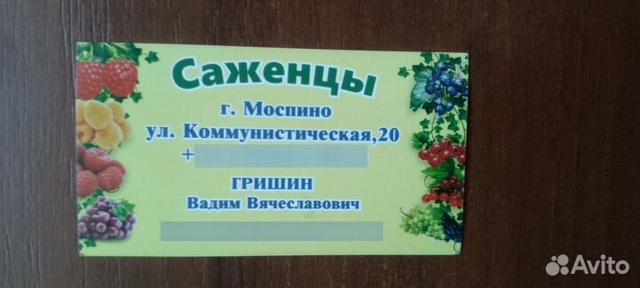 Саженцы винограда