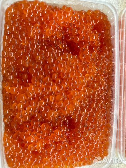 Красная икра 2023