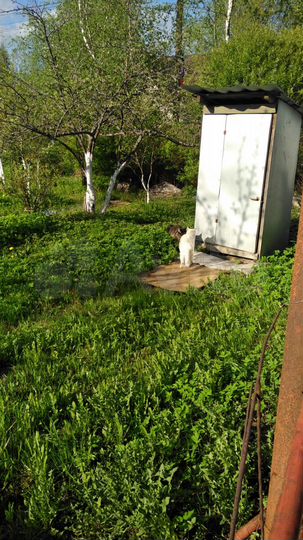 Участок 6 сот. (СНТ, ДНП)