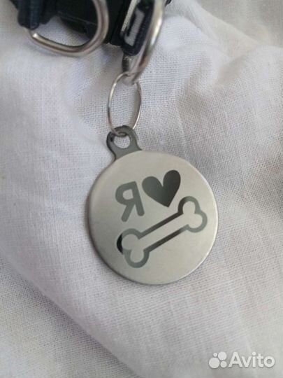 Шлейка и поводок для кошек и собак