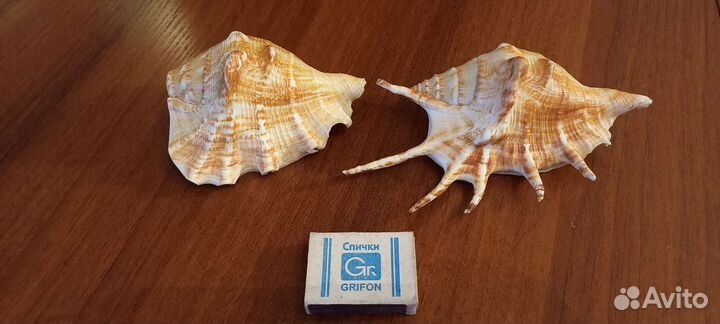 Ракушки и статуэтки из Гоа