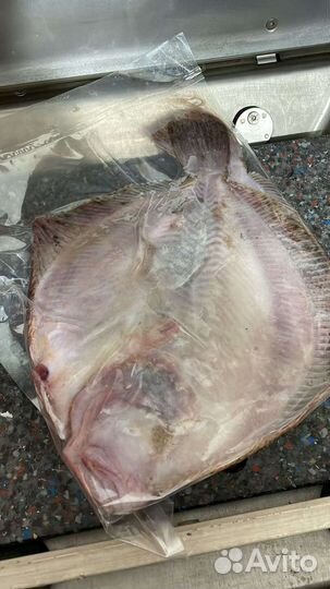 Камбала Азовская Калкан