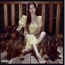 Lana Del Rey Blue Banisters (2LP) винил новый