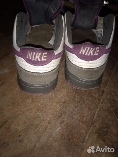 Nike Air Force 1 SB Dunk Purple Pigeon