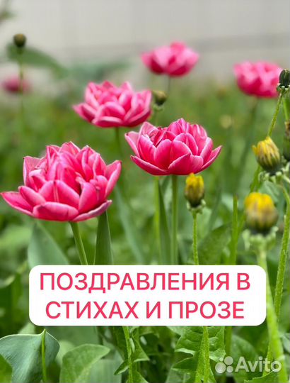 Поздравление на заказ. Стихи и проза на заказ