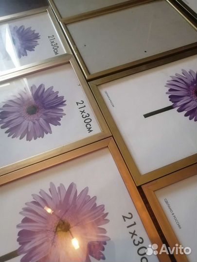 Рамки для фото a4 фотографии