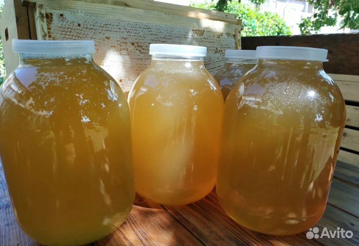 Мед местный, качка хх.08.2023 (доставка)
