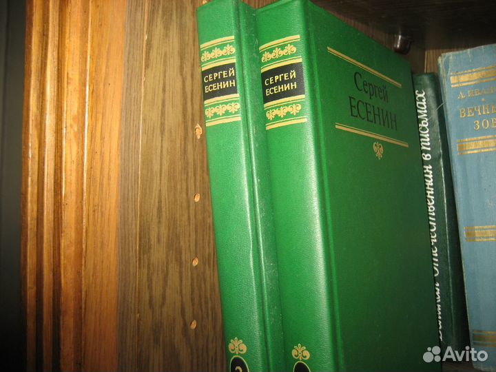 Сергей Есенин в 2 томах
