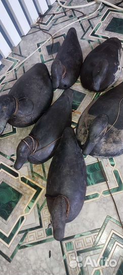 Чучела уток для охоты. Резиновые