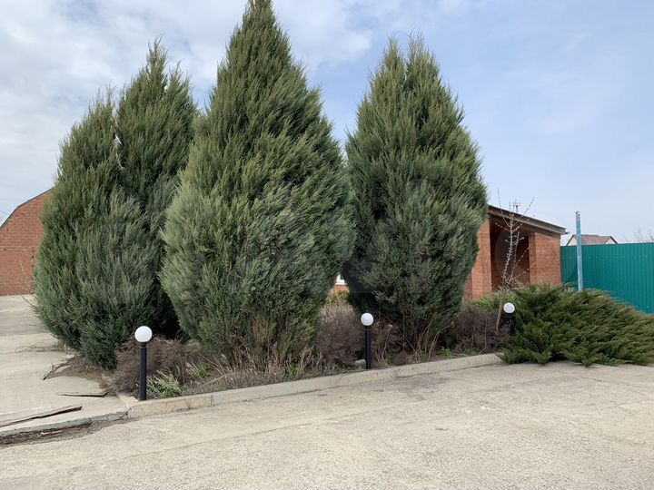 Производство, 900 м²