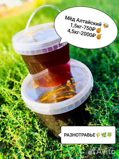 Мëд с Алтайского края