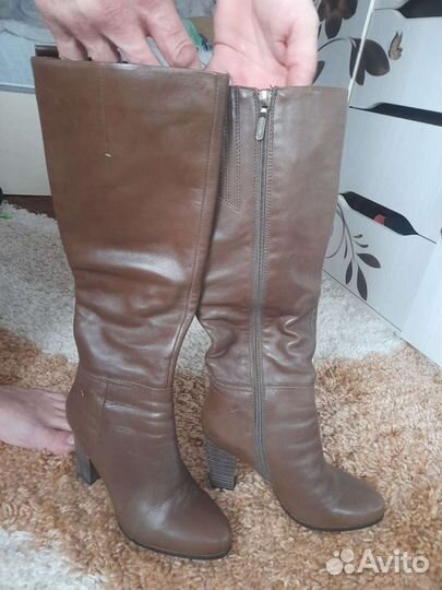 Сапоги женские