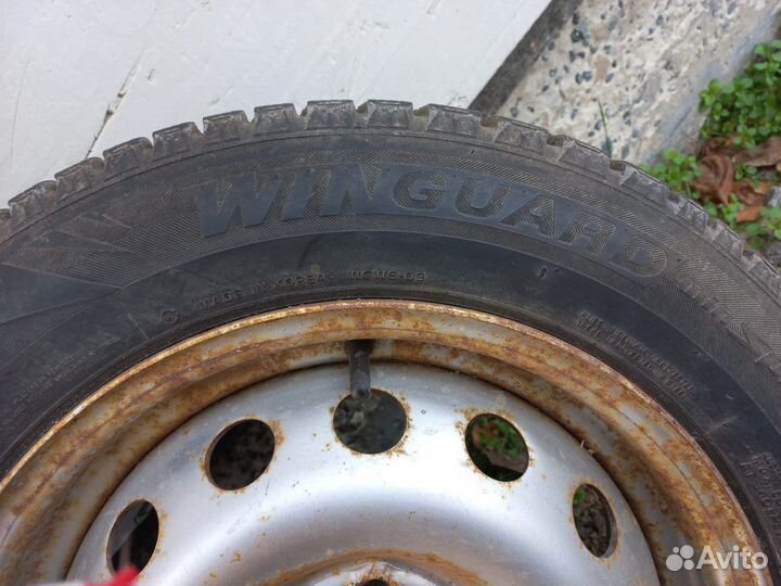Nexen Winguard WinSpike 185/65 R15