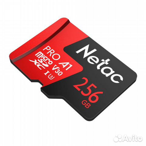 Netac MicroSD (NT02P500PRO-256G-S)